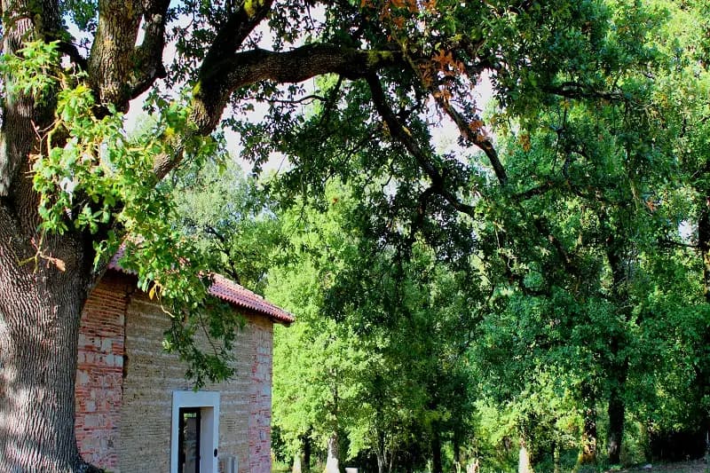 Domaine Saint Michel — photo 8