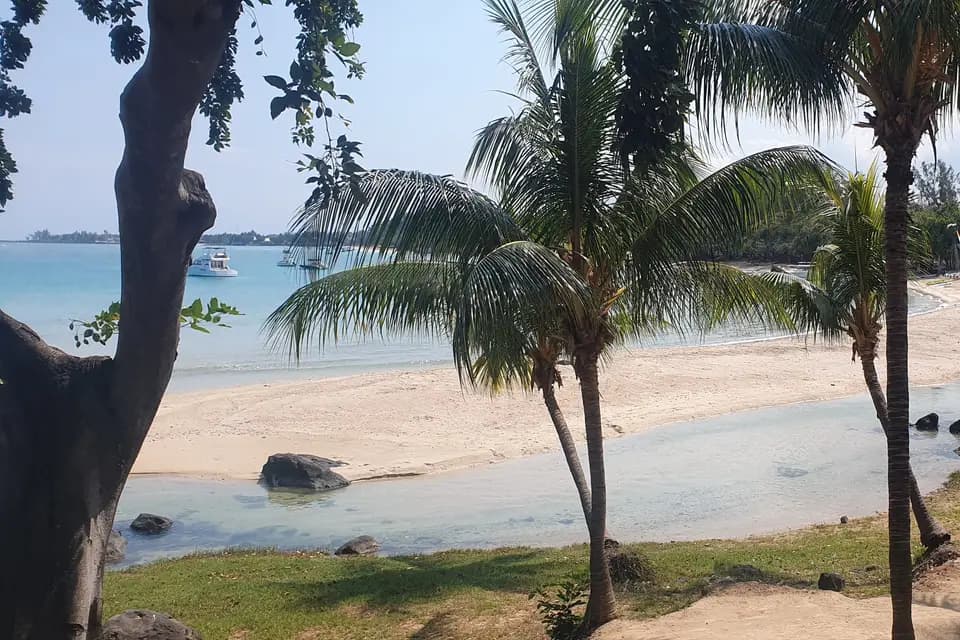 ID 2 Rêves — photo 7