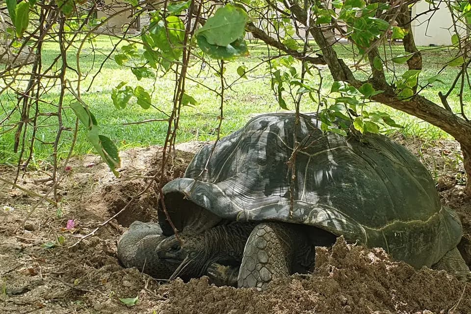 ID 2 Rêves — photo 1