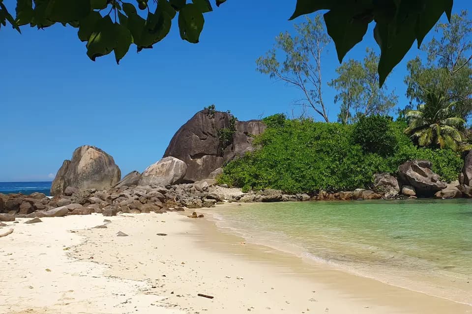 ID 2 Rêves — photo 2