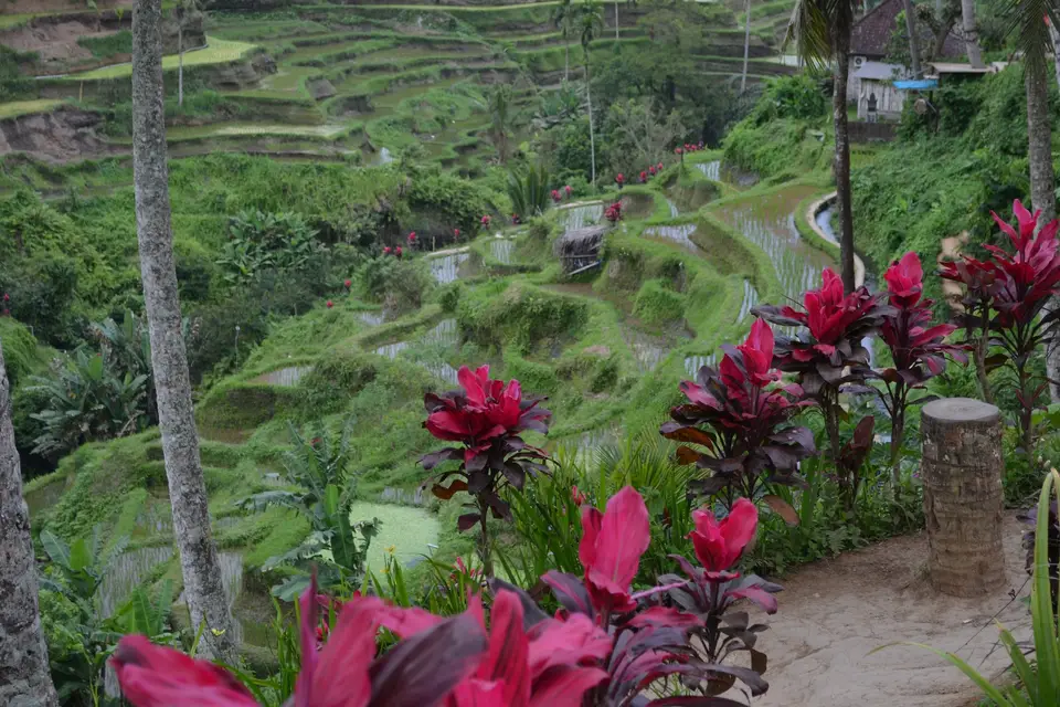 ID 2 Rêves — photo 6