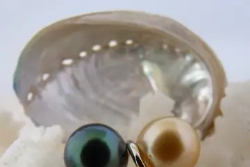 Natacha Klein Créatrice