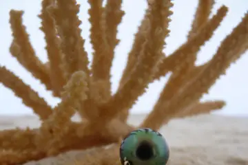 Natacha Klein Créatrice — photo 2