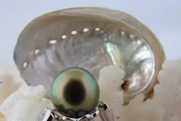 Natacha Klein Créatrice — photo 3