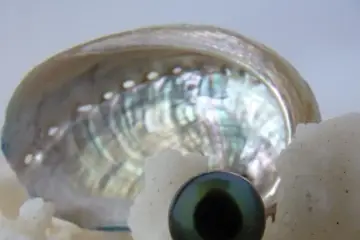 Natacha Klein Créatrice — photo 4