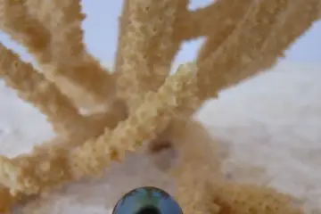 Natacha Klein Créatrice — photo 6