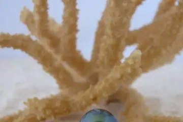 Natacha Klein Créatrice — photo 7