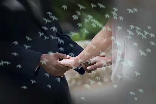 Ronciere Photography — photo 6