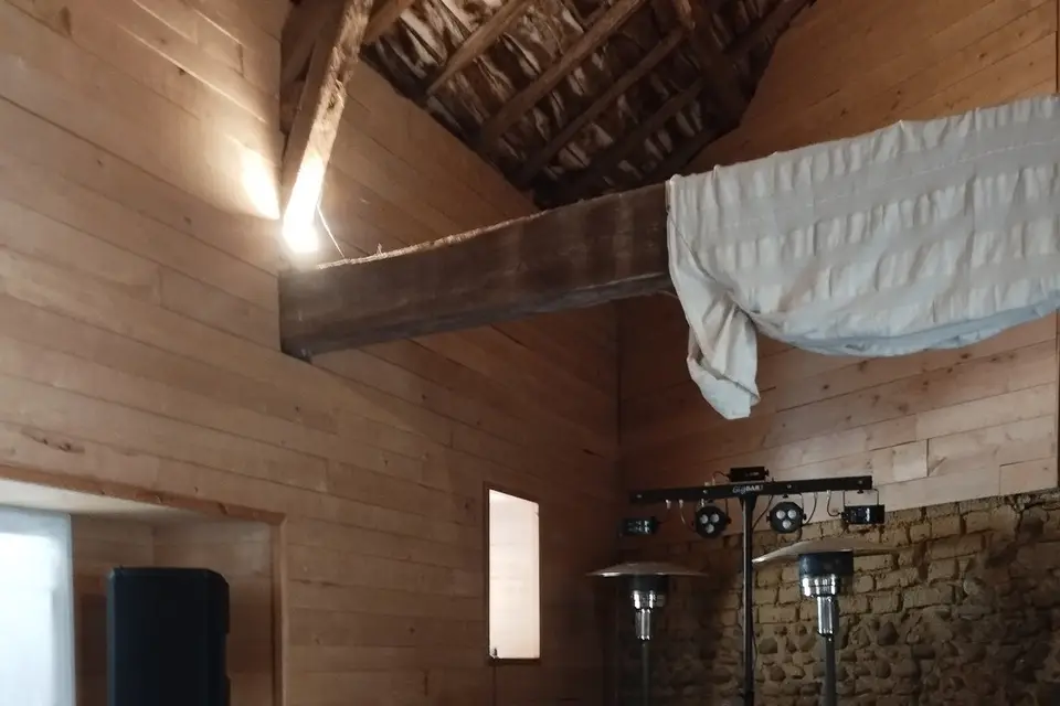 DG Animation — photo 6