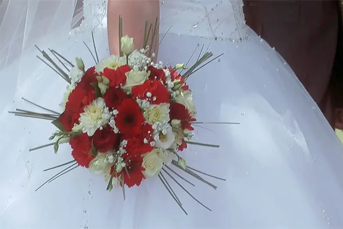 Fred Films — photo 6