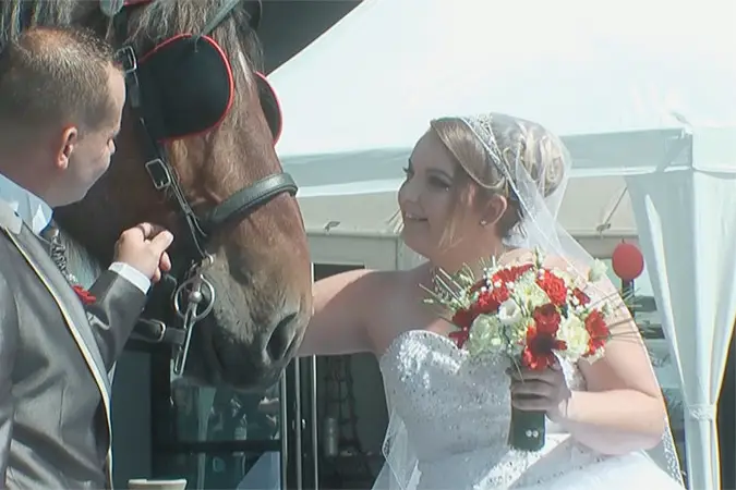 Fred Films — photo 4