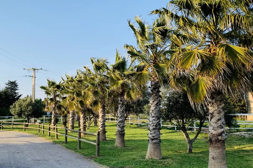 Mas Valero — photo 2