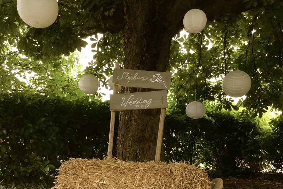 Luz Décoratrice Evénementielle — photo 7