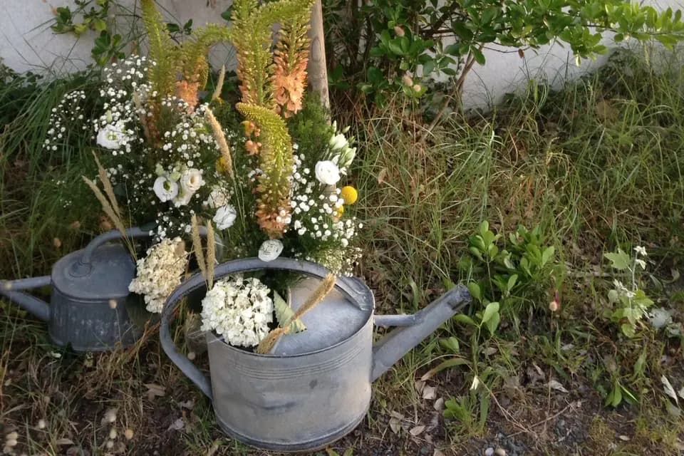 Ebentalis — photo 8