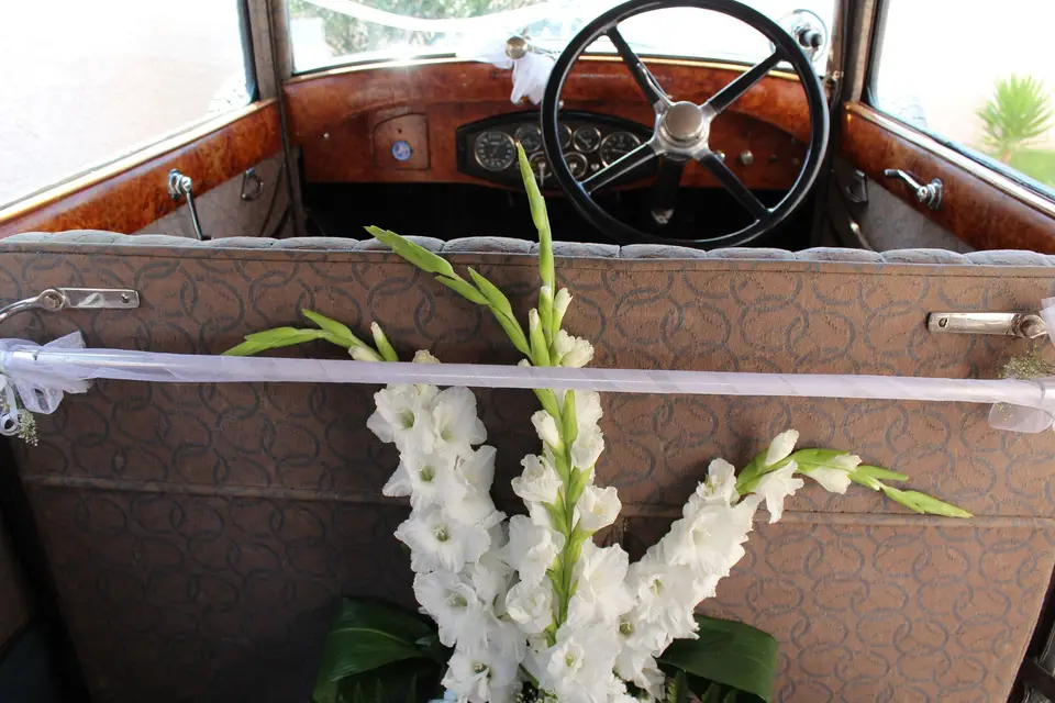 Pépite Événements — photo 2