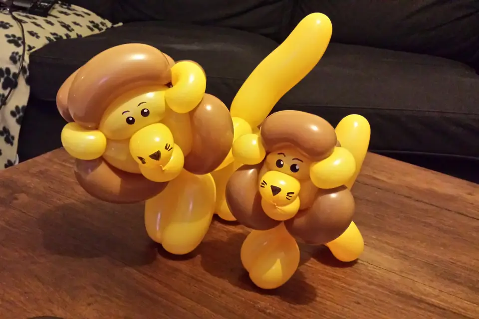 Sculpt1ballon — photo 6