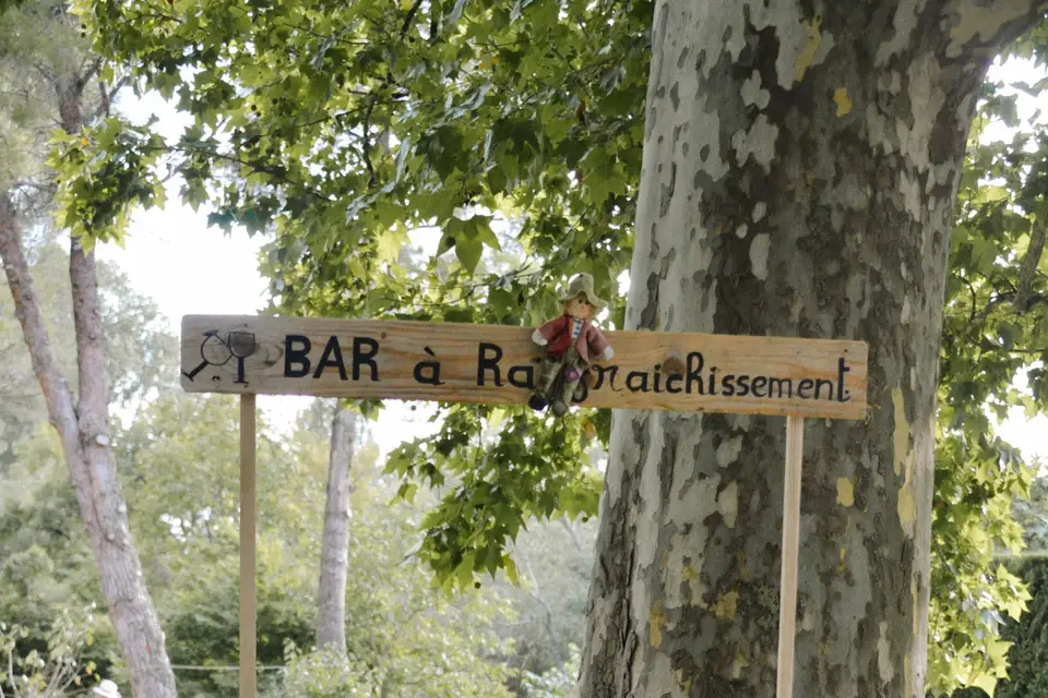 Domaine des Pins — photo 7