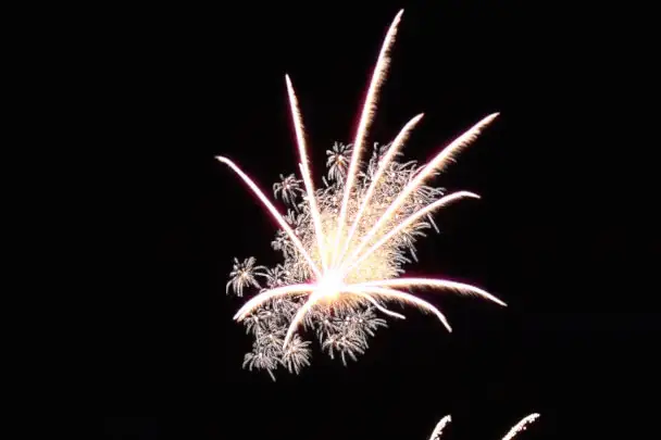 Omega Production — photo 8