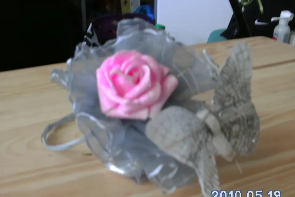 Un jour de rêve — photo 1