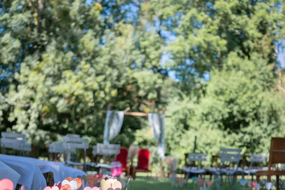 Coeur de Lierre - Officiante de cérémonie Laïque — photo 7