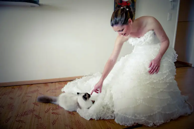 Delahaye And Delahaye Photographes — photo 2