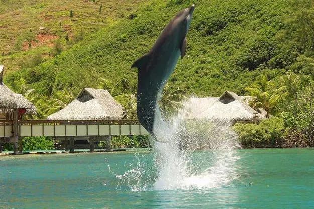 Etoile Voyages — photo 4