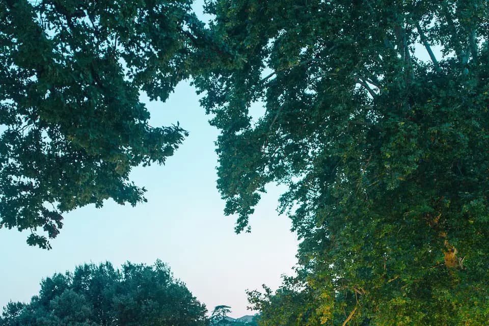 Bastide de Toursainte — photo 9