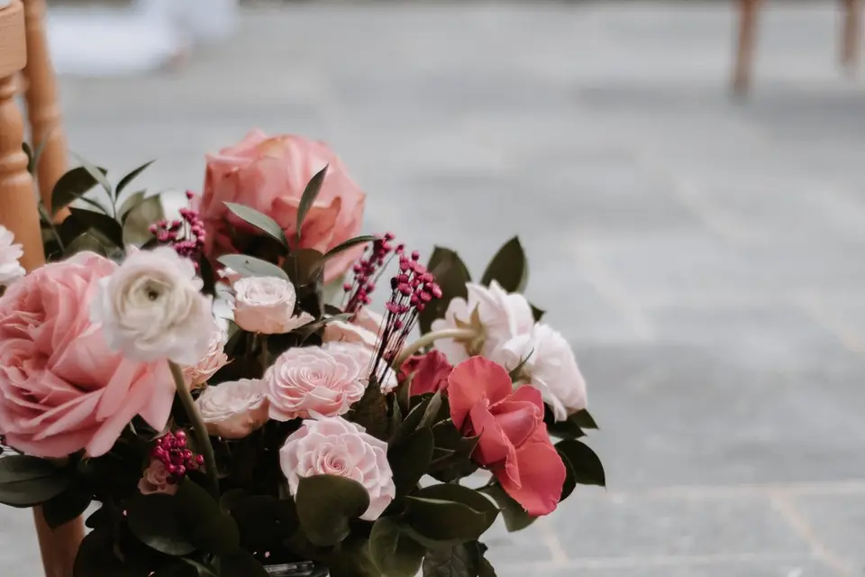 Songe Pastel — photo 3