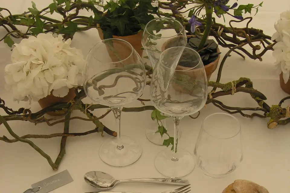 Passion Réception — photo 7