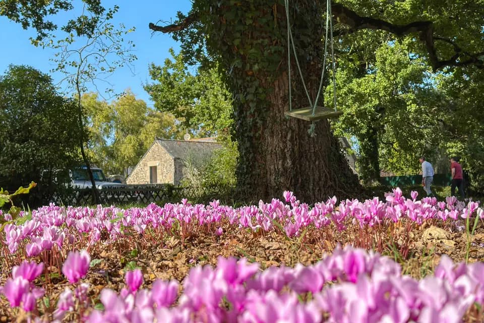 Hôtel Le Manoir des Portes — photo 3