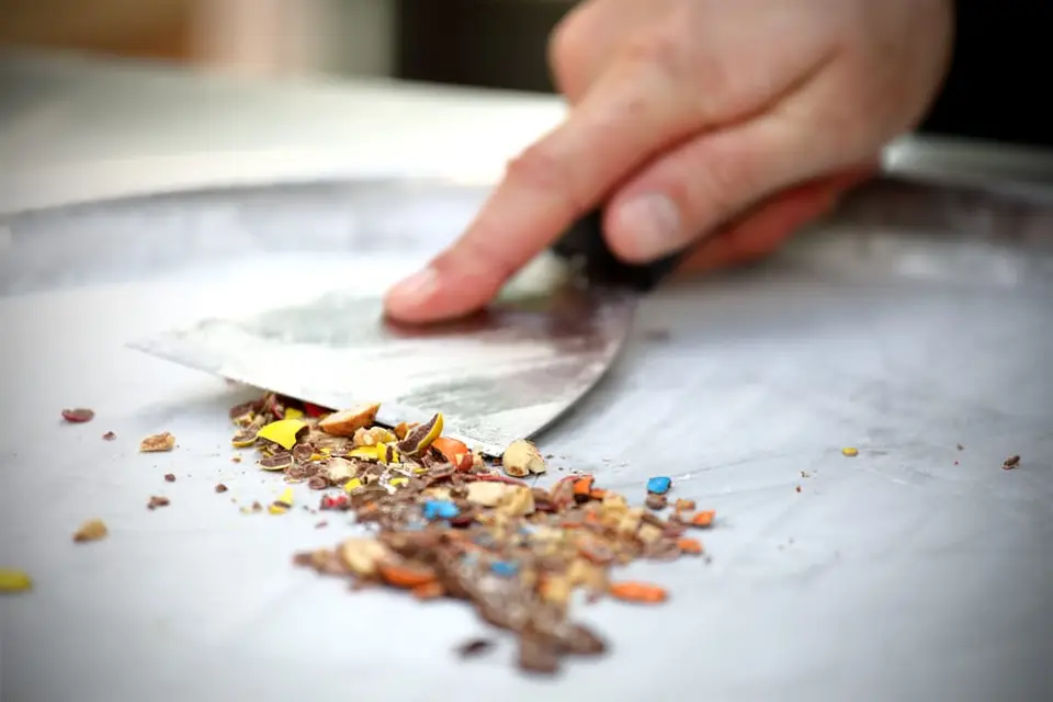 Plantxa Izozkia — photo 6