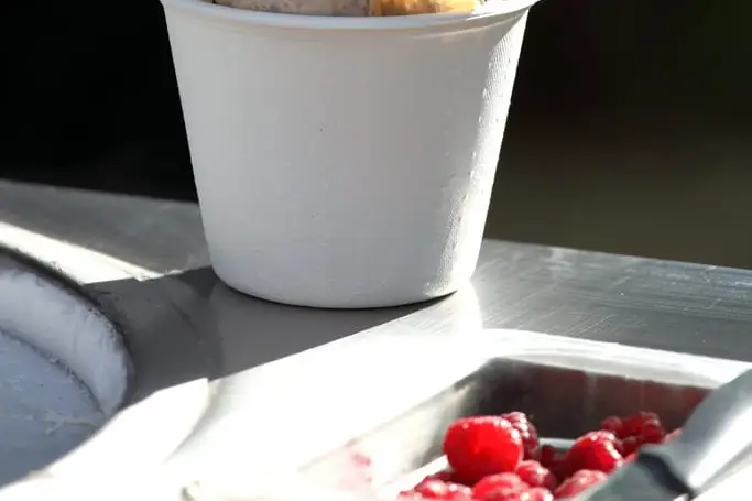 Plantxa Izozkia — photo 1