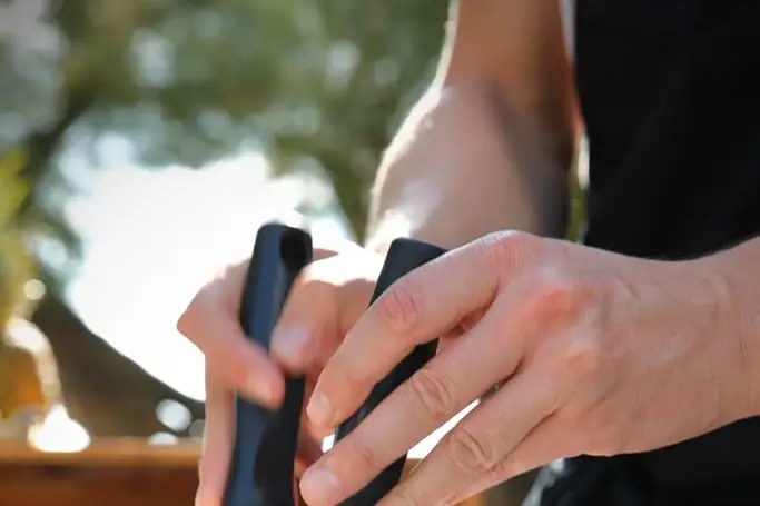 Plantxa Izozkia — photo 5