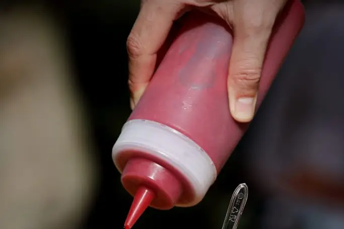 Plantxa Izozkia — photo 4