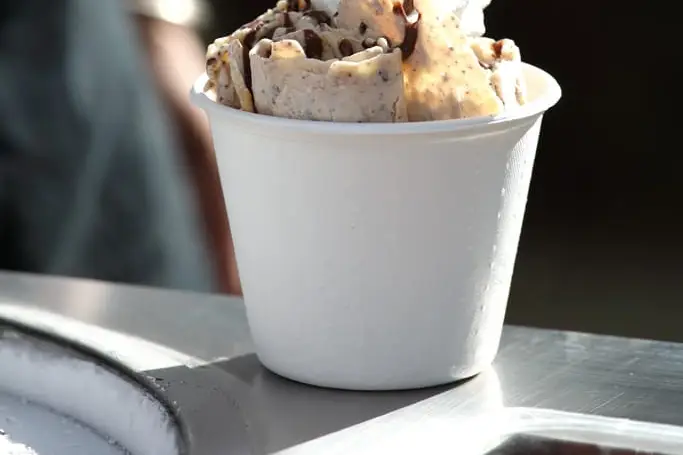 Plantxa Izozkia — photo 7