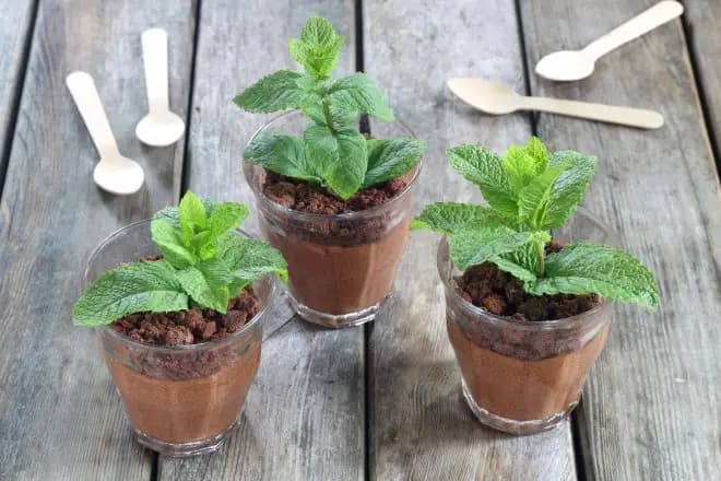 L'Inoubliable — photo 4