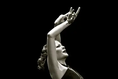 Flamenco à Paris — photo 1