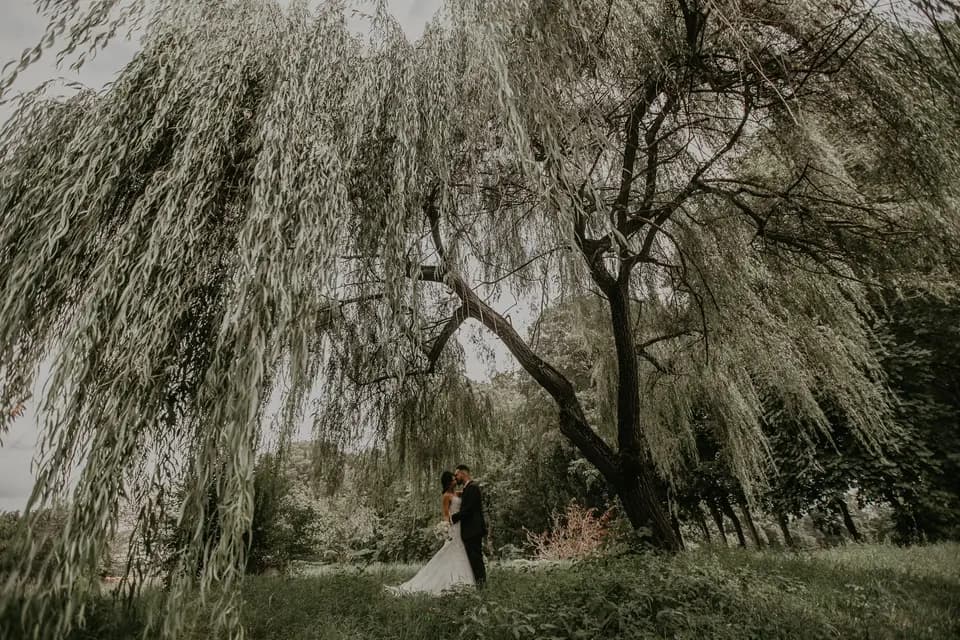 Hamid Boualem Photography — photo 5