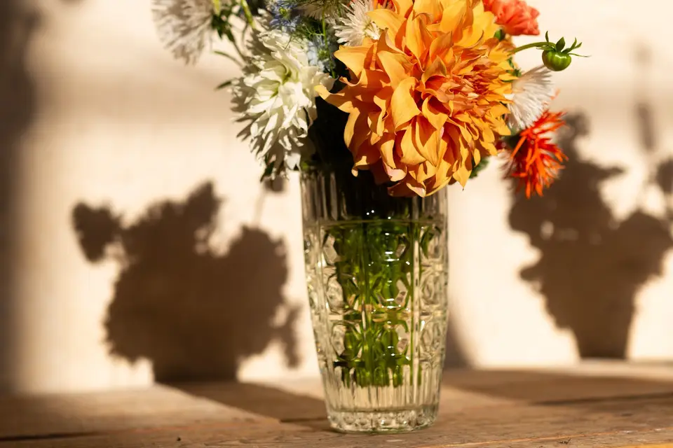 Vaisselle des souvenirs — photo 6