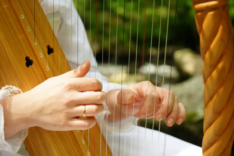 Cécile Branche — photo 4