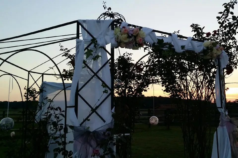 Ea7 Event — photo 2