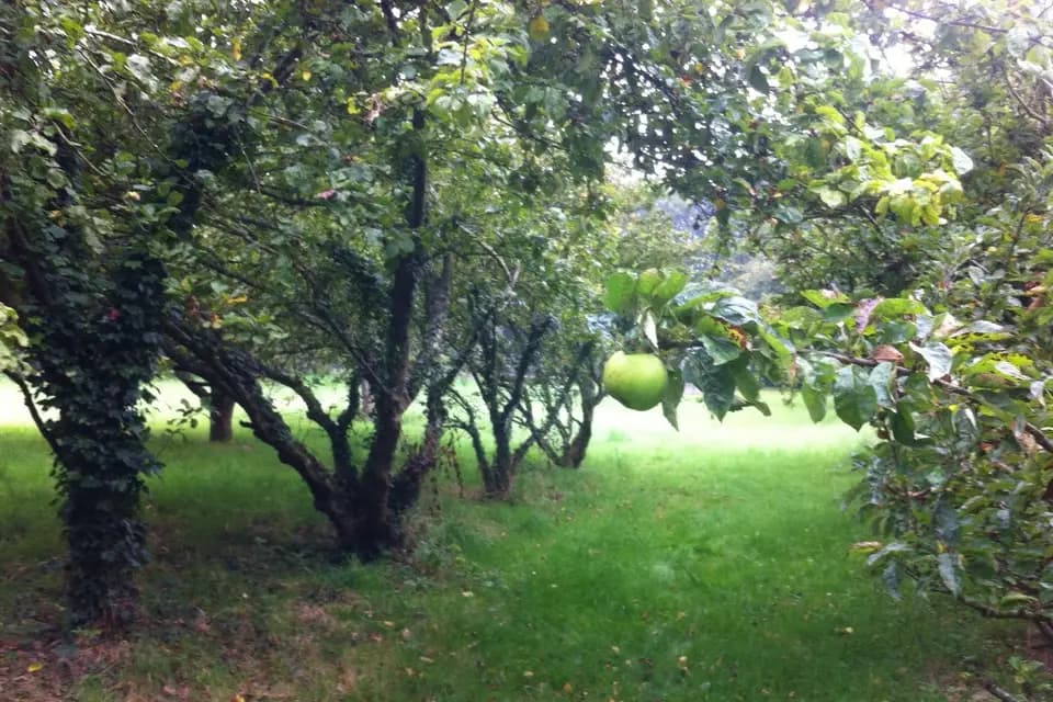 Château Keranno — photo 5