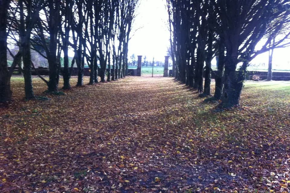 Château Keranno — photo 6