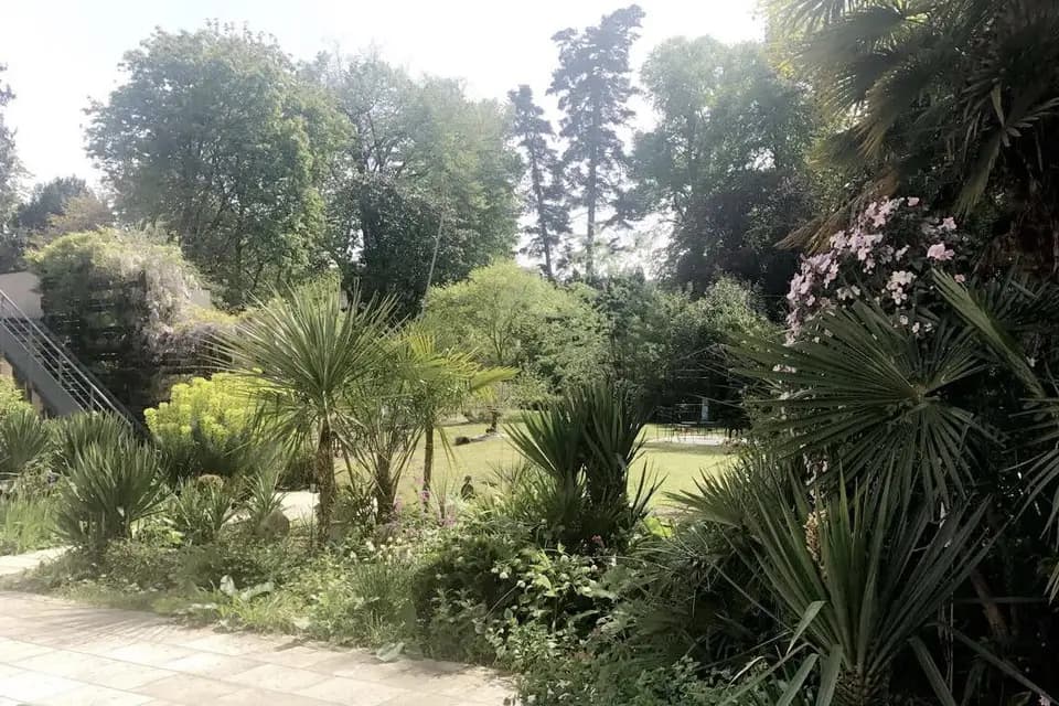 La Gourmandine — photo 8