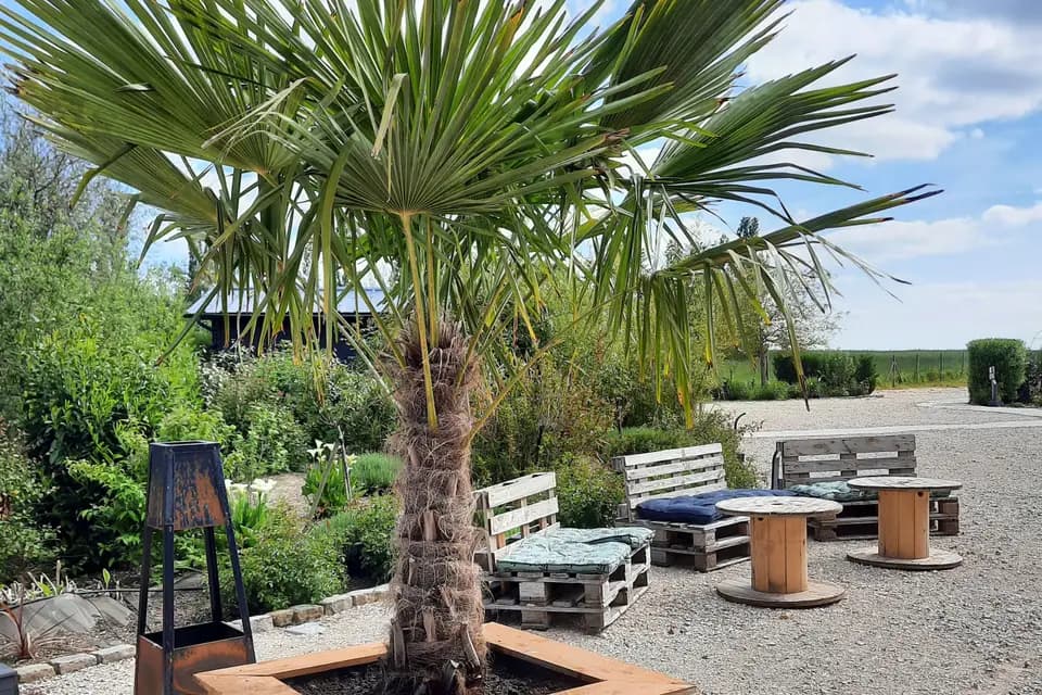 Domaine de Mézières — photo 5