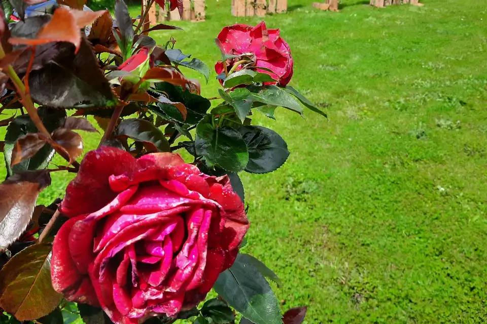 Domaine de Mézières — photo 2