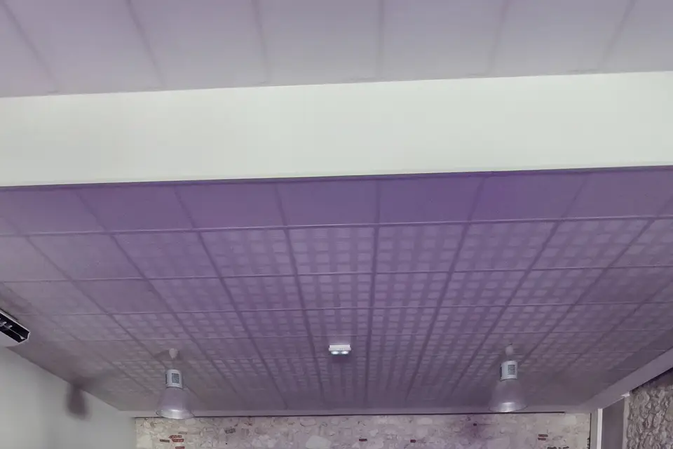 Shilling Event — photo 3