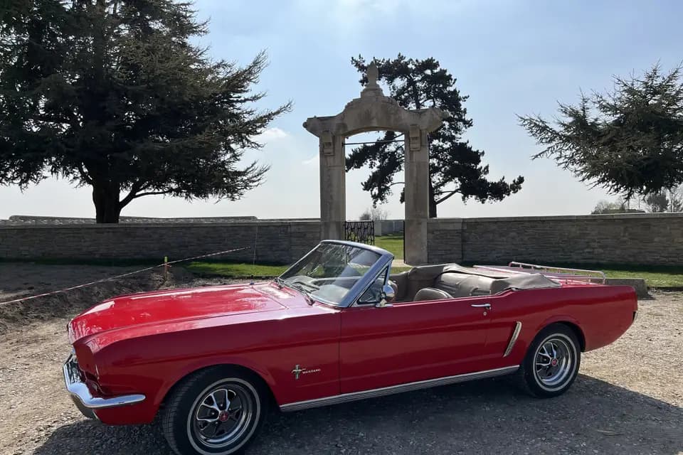 Loc Mustang Collection — photo 3