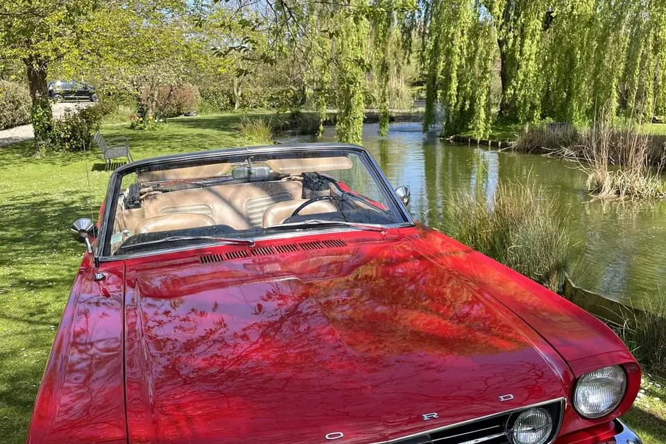 Loc Mustang Collection — photo 6