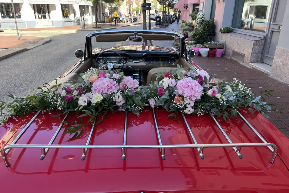 Loc Mustang Collection — photo 1